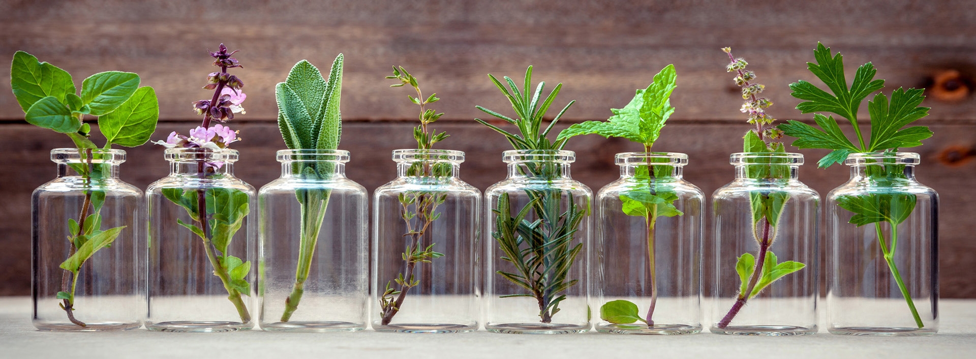 ESSENTIAL OIL
